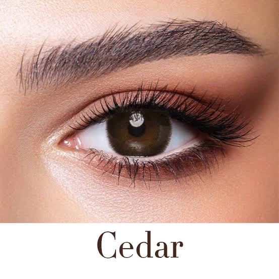Bella Cedar Colour Lens Original Eye Colour Lens With Lens Kit